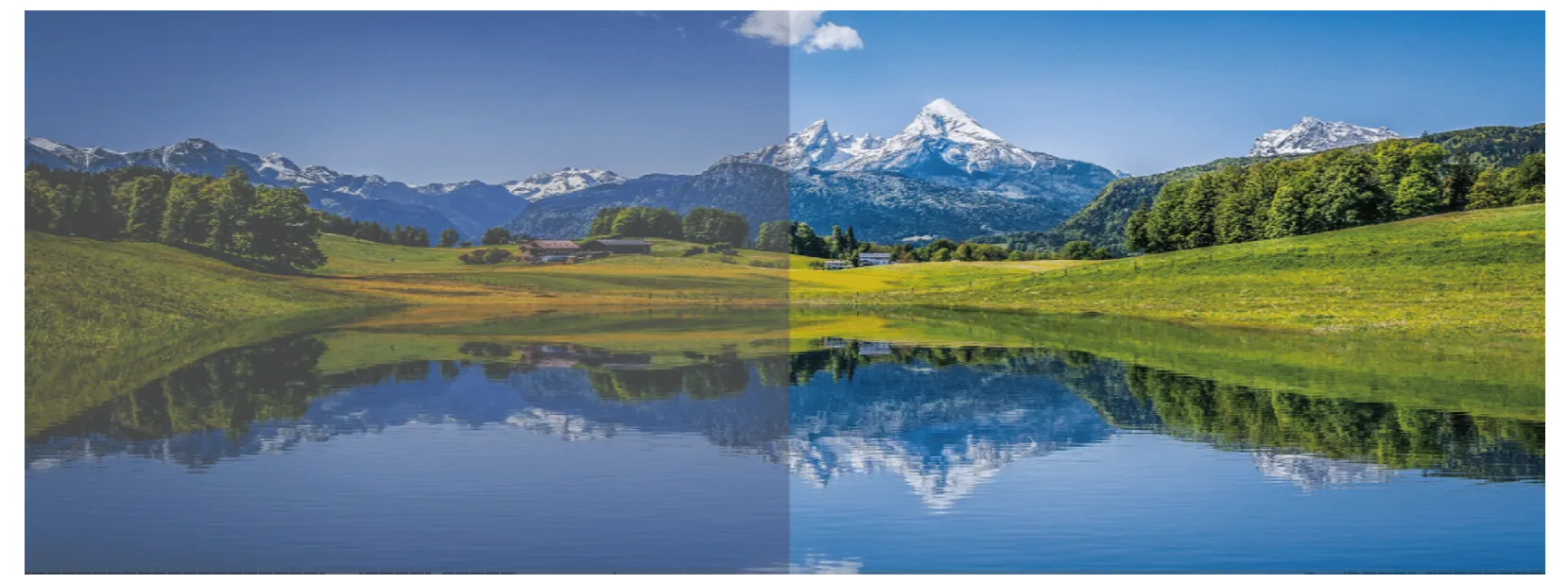 R5 Plus Grayscale Comparison Image
