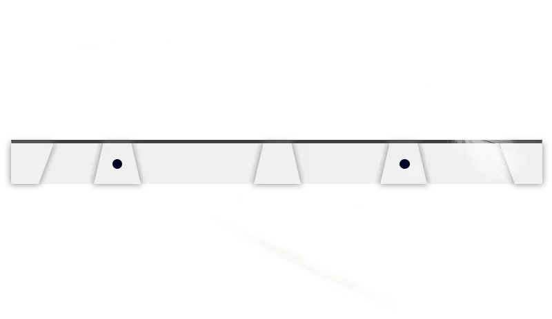FS Plus Image