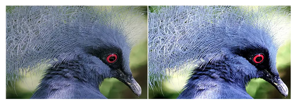 FS Refresh Rate Comparison Image
